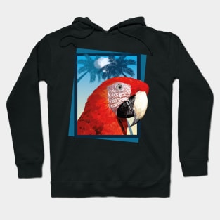 Scarlet macaw Hoodie